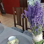 Zeglarz Łeba